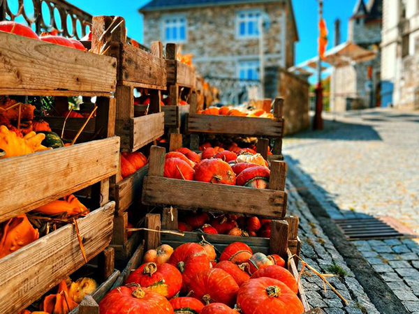 Altstadt Herbst 2024 Altstadt Herbst 2024